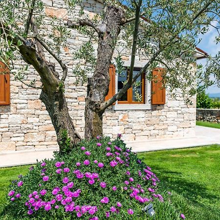 Villa Oliveta By Istrialux Filipana Exteriér fotografie