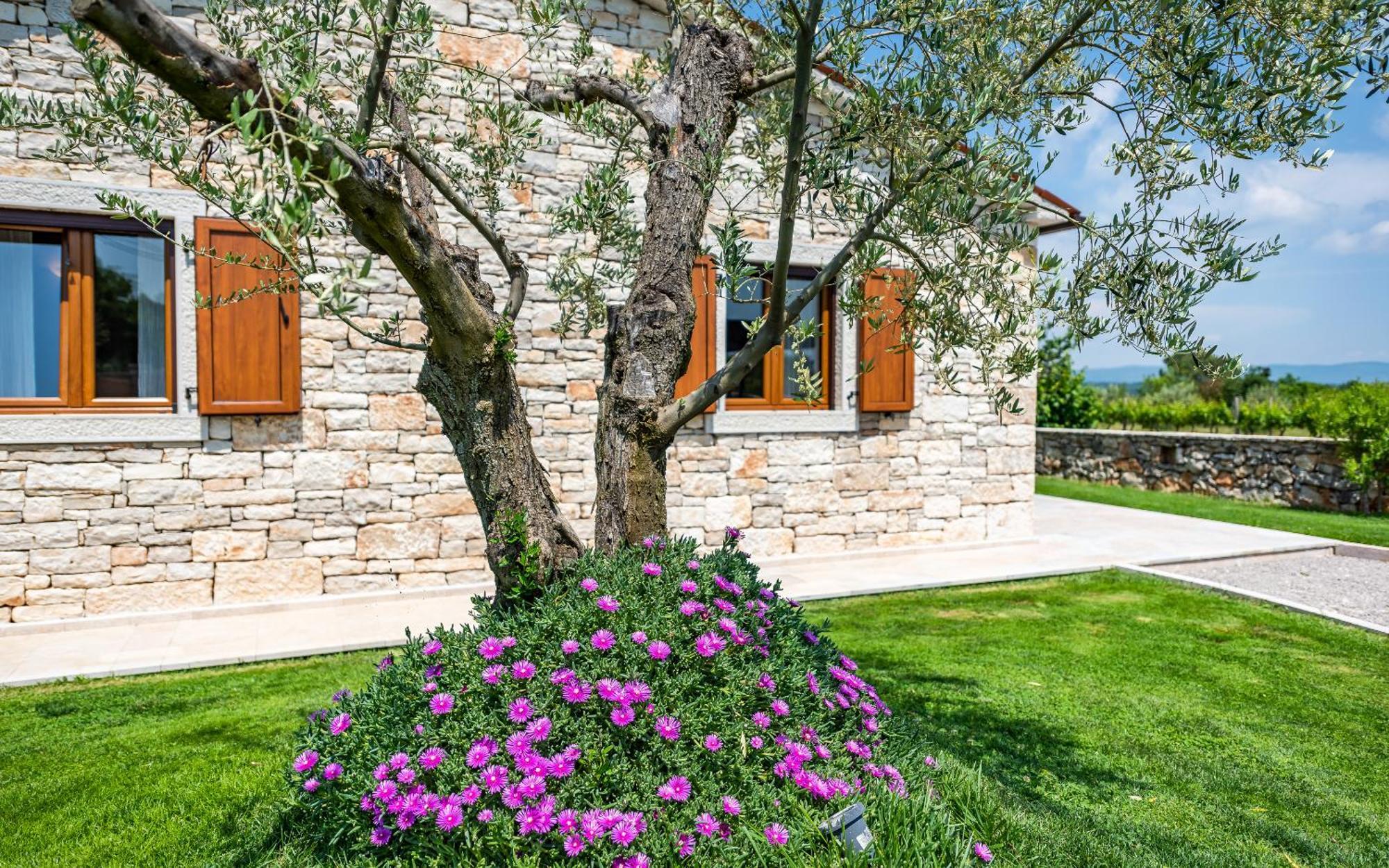 Villa Oliveta By Istrialux Filipana Exteriér fotografie