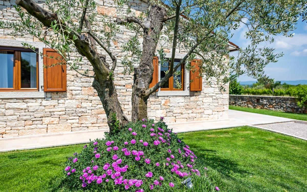 Villa Oliveta By Istrialux Filipana Exteriér fotografie